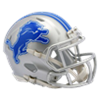 Detroit Lions 
